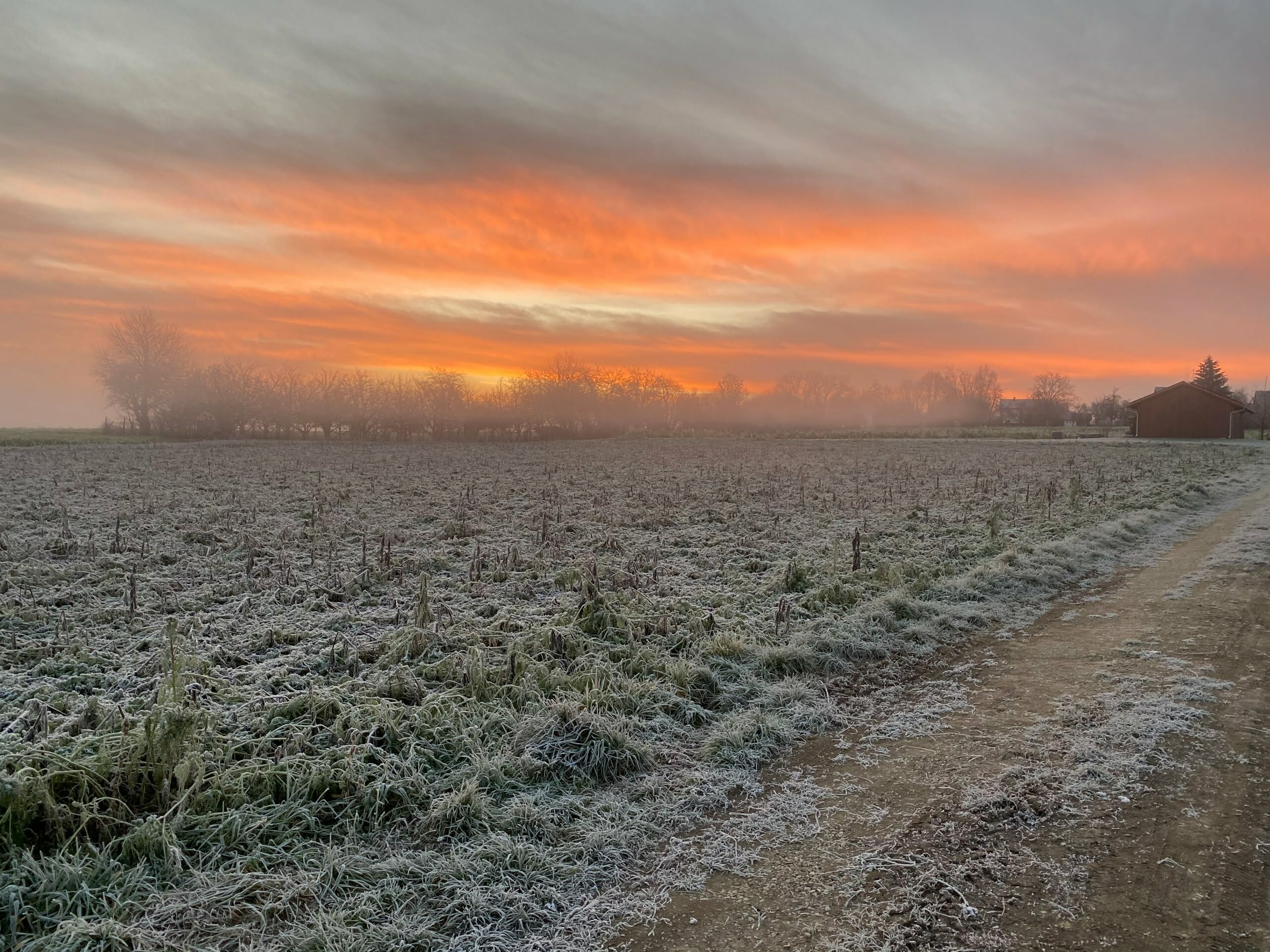 Mehr zu dieser Morgenstimmung? Hier klicken!